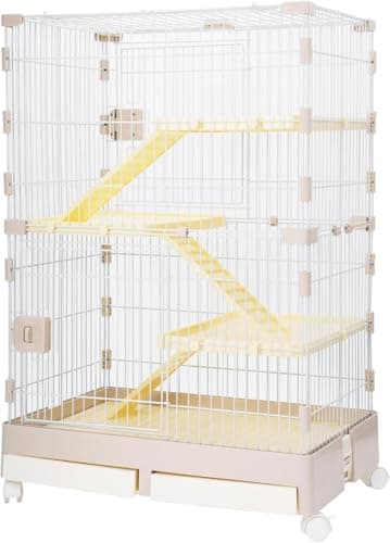 モルモット 鳴き声 うるさい|集合住宅での対策【2026年版】