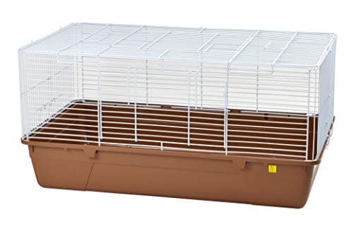 モルモット 鳴き声 うるさい|集合住宅での対策【2026年版】