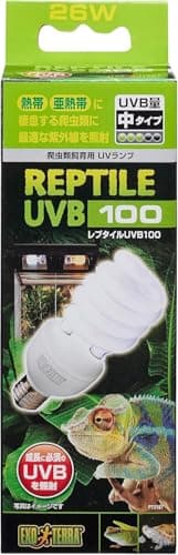 UVBライト交換頻度とおすすめ5選|爬虫類用ランプ比較【2026年版】